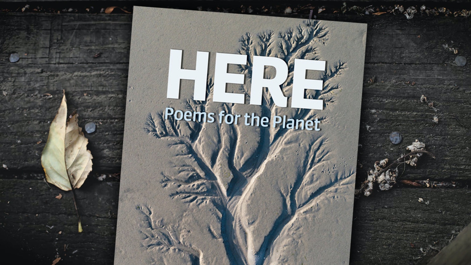 Copper Canyon Press book cover for HERE: Poems for the Planet